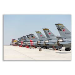 F16 Savaş Uçağı  Tablosu  - TSK118