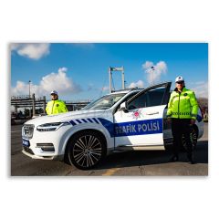 Türk Polisi Tablosu  - TSK132