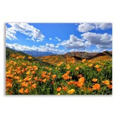 Turuncu Gelincikler  Manzara  Tablosu  - LSC121