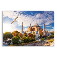 İstanbul Ayasofya Camii Martılı Tablosu  - OTMN121