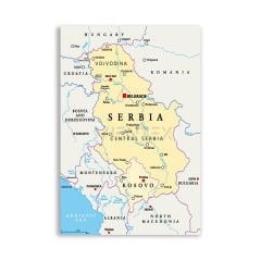 Sırbistan Siyasi Harita Tablosu  - CTY153