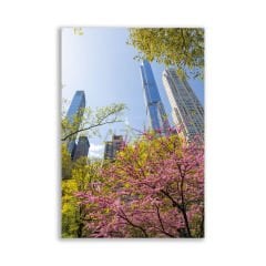 Newyork Bahar Tablosu  - CTY157