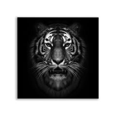 Vahşi Kaplan Siyah Beyaz Tablosu - BLK128 EBAT = 70 CM X 70 CM
